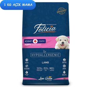 Felicia Az Tahıllı Kuzulu HypoAllergenic 1 kg Yavru Köpek Maması