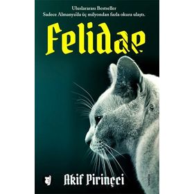 FELIDAE - AKIF PIRINÇCI