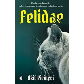 FELIDAE - AKIF PIRINÇCI