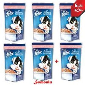 Felix Somonlu 6x100 gr Yaş Kedi Mama