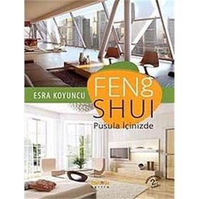 FENG SHUI - HENWOOD CHOY