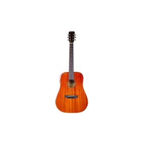 Fenix FT-4ENA Natural Elektro Akustik Gitar