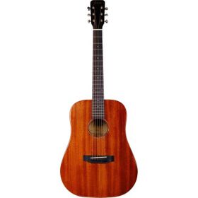 Fenix FT-4NA Natural Akustik Gitar