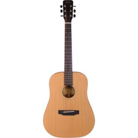 Fenix FW-1NS Natural Akustik Gitar