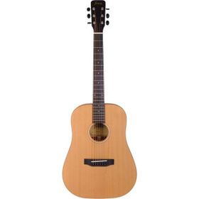 Fenix FW-1NS Natural Akustik Gitar