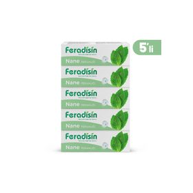 Feradisin Gimdes Helal Sertifikalı Çocuk Diş Macunu Nane Ferahlığı 5'li Set Diş Macunu