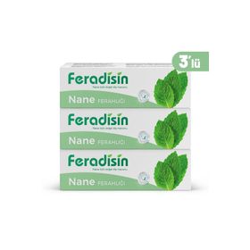 Feradisin Nane Ferahlığı 3x90 gr Diş Macunu