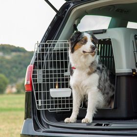 Ferplast Atlas 60 91x61x66,5 cm Köpek Taşıma Sepeti
