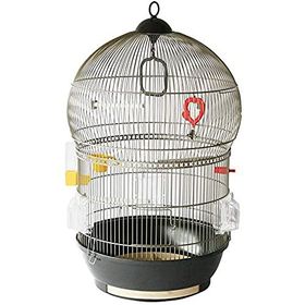 Ferplast Bali Antik Pirinç Kuş Kafesi