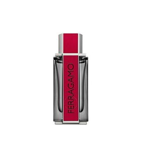 Ferragamo Red Leather EDP 100 ml Erkek Parfüm
