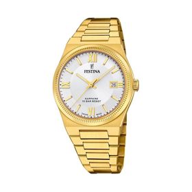 Festina F20038/1 Erkek Kol Saati