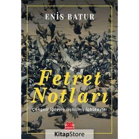 Fetret Notları - Enis Batur