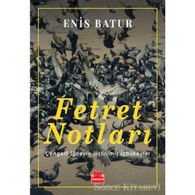 Fetret Notları - Enis Batur