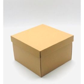 Feza Kutu Çok Amaçlı 23x23x15 cm 10 Adet Karton Pasta Kutusu
