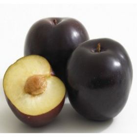 Fidan Black Amber Erik Fidanı