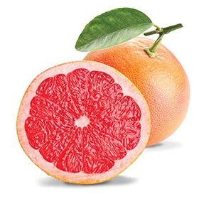 Fidan Star Ruby Greyfurt Fidanı
