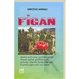 FIGAN - GENEL