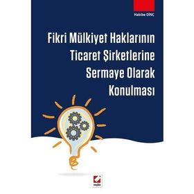 Fikri Mülkiyet Haklarının Ticaret Şirketlerine Sermaye Olarak Konulması - Habibe Dinç