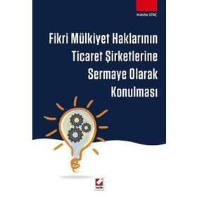 Fikri Mülkiyet Haklarının Ticaret Şirketlerine Sermaye Olarak Konulması - Habibe Dinç