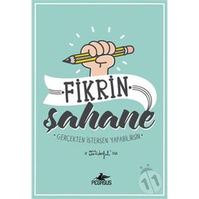 Fikrin Şahane - Mr Wonderful