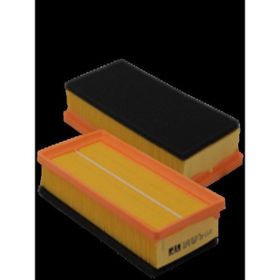 Fil Filtre P407 C5 Iı C5 Dw10bted4 Hava Filtresi