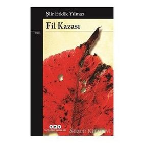 Fil Kazası - Erkök Yılmaz