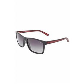 Fila SF9060 57700P Erkek Güneş Gözlüğü