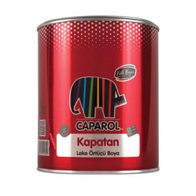 Filli Boya Kapatan 0.75 lt Leke Örtücü Boya