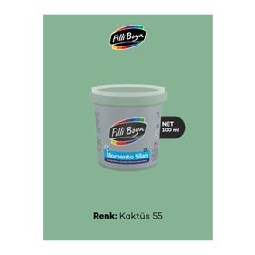 Filli Boya Momento Silan İpeksi Mat 100 ml Kaktüs 55 İç Cephe Duvar Boyası