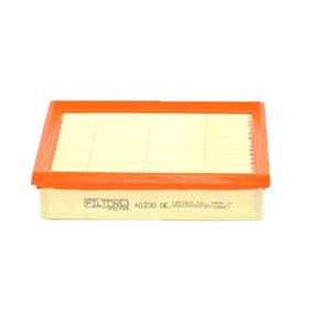 Filtorq Bmw 1 F20/F21 2011-2018 A1230 Hava Filtresi