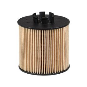 Filtron 1,6 FSİ BLF Yağ Filtresi