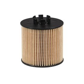 Filtron 1,6 FSİ BLF Yağ Filtresi