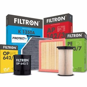 Filtron AK 370/2 Hava Filtresi