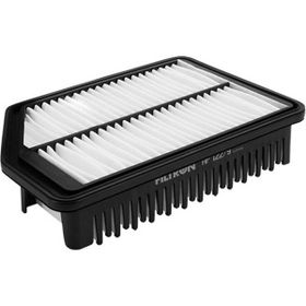Filtron AP 122/9 Hava Filtresi