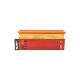 Filtron AP 134/8 Hava Filtresi