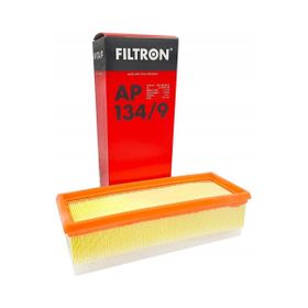 Filtron AP 134/9 Hava Filtresi