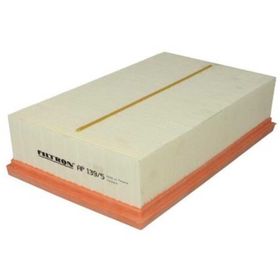 Filtron AP 139/5 Hava Filtresi