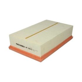 Filtron AP 139/5 Hava Filtresi