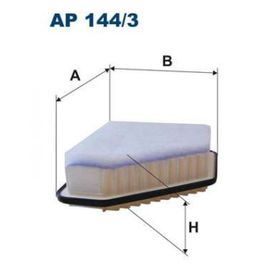 Filtron AP 144/3 Hava Filtresi