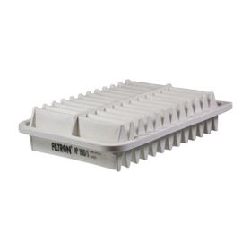 Filtron AP 160/1 Hava Filtresi