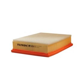 Filtron AP028.2 Hava Filtresi
