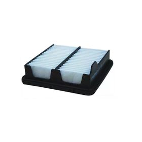 Filtron AP106/4 Hava Filtresi