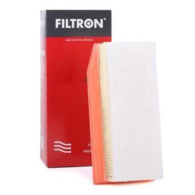 Filtron AP135.7 Hava Filtresi