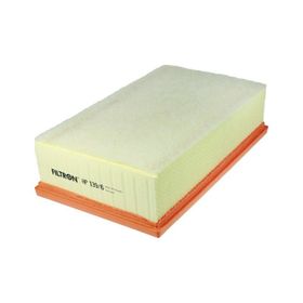 Filtron AP139.6 Hava Filtresi