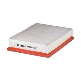 Filtron AP143/4 Hava Filtresi