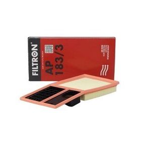 Filtron AP183.3 Hava Filtresi