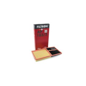 Filtron AP183.3 Hava Filtresi