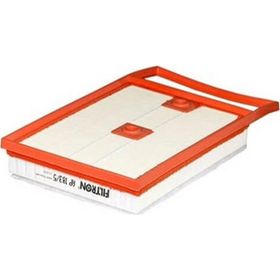 Filtron AP183/5 Hava Filtresi
