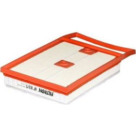 Filtron AP183/5 Hava Filtresi