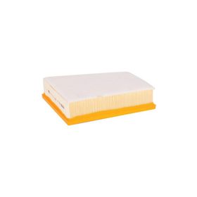 Filtron AP185/4 Hava Filtresi